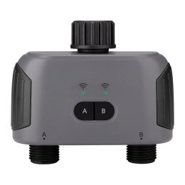 Mobile Phone Remote Control Dual Watering Device (Option: Timer piece)