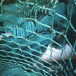 100m Poultry Chicken Netting Fence Chicken Netting Netting (Option: 6meters high and 10meters lo)